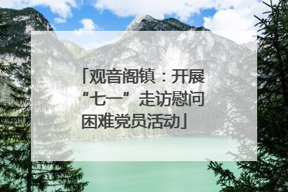 观音阁镇：开展“七一”走访慰问困难党员活动