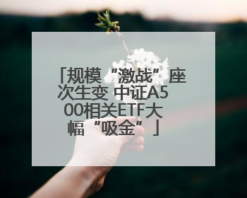 规模“激战”座次生变 中证A500相关ETF大幅“吸金”