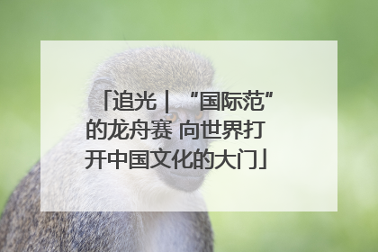 追光｜“国际范”的龙舟赛 向世界打开中国文化的大门