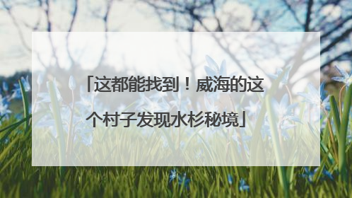 这都能找到！威海的这个村子发现水杉秘境