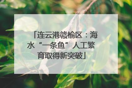 连云港赣榆区：海水“一条鱼”人工繁育取得新突破