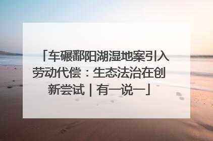 车碾鄱阳湖湿地案引入劳动代偿：生态法治在创新尝试｜有一说一