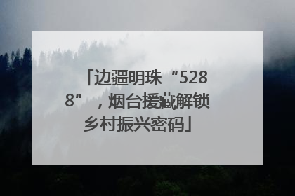 边疆明珠“5288”，烟台援藏解锁乡村振兴密码