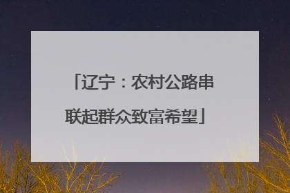 辽宁：农村公路串联起群众致富希望