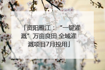 资阳雁江：“一键灌溉”万亩良田 全域灌溉项目7月投用