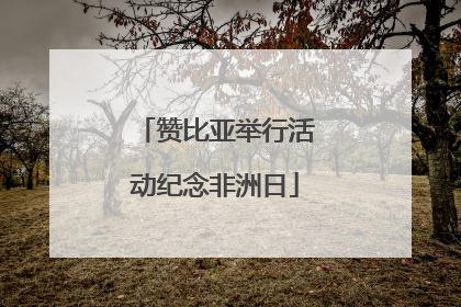 赞比亚举行活动纪念非洲日