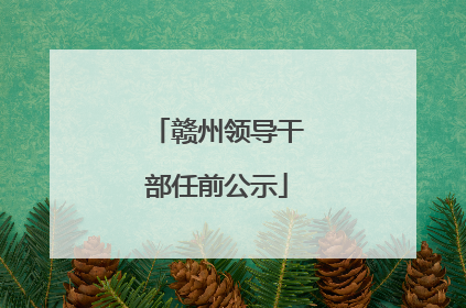 赣州领导干部任前公示