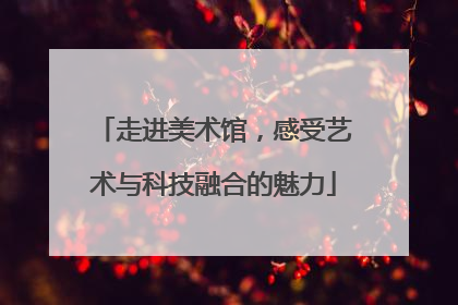 走进美术馆，感受艺术与科技融合的魅力