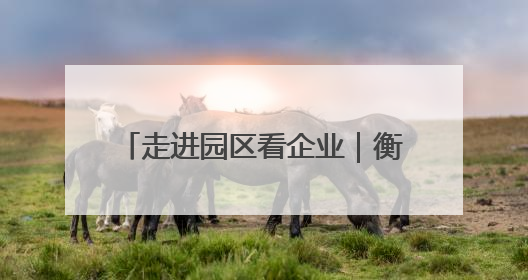 走进园区看企业｜衡阳蒸湘区：向“高”而攀 向“新”而行