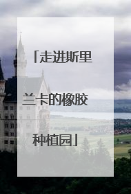 走进斯里兰卡的橡胶种植园