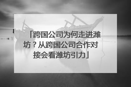 跨国公司为何走进潍坊？从跨国公司合作对接会看潍坊引力