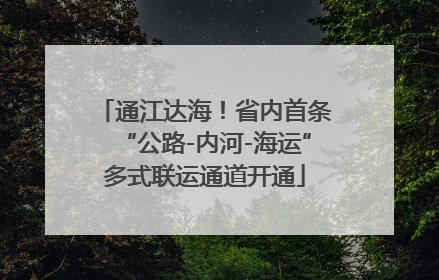 通江达海！省内首条“公路-内河-海运”多式联运通道开通