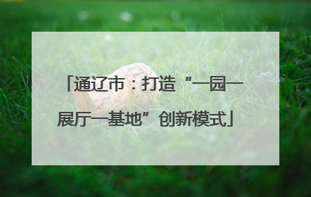 通辽市：打造“一园一展厅一基地”创新模式