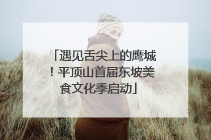 遇见舌尖上的鹰城！平顶山首届东坡美食文化季启动