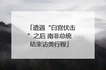遭遇“白宫伏击”之后 南非总统结束访美行程