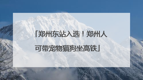 郑州东站入选！郑州人可带宠物猫狗坐高铁