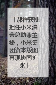 郝祥获批担任小米消金总助兼董秘，小米集团资本版图再现协同扩张