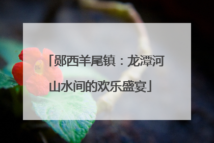 郧西羊尾镇：龙潭河山水间的欢乐盛宴