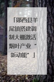 郧西县羊尾镇搭建调制大棚激活烟叶产业“新动能”