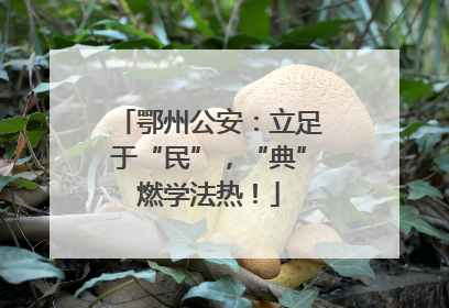 鄂州公安：立足于“民”，“典”燃学法热！