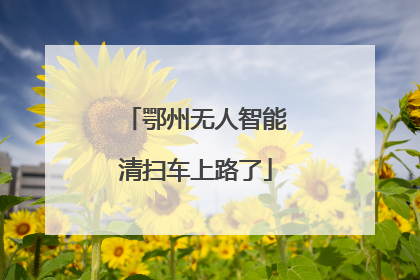 鄂州无人智能清扫车上路了