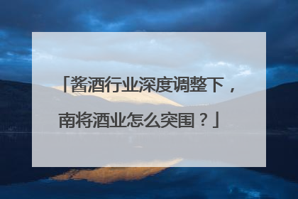 酱酒行业深度调整下，南将酒业怎么突围？