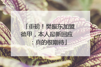 重磅！樊振东加盟德甲，本人最新回应：真的很期待