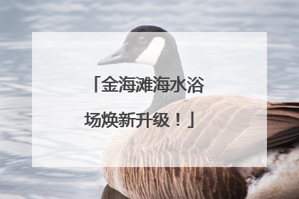 金海滩海水浴场焕新升级！