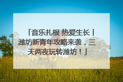音乐扎根 热爱生长丨潍坊新青年攻略来袭，三天两夜玩转潍坊！