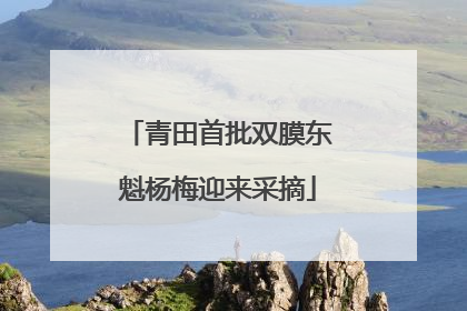 青田首批双膜东魁杨梅迎来采摘
