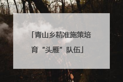 青山乡精准施策培育“头雁”队伍