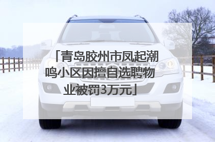 青岛胶州市凤起潮鸣小区因擅自选聘物业被罚3万元