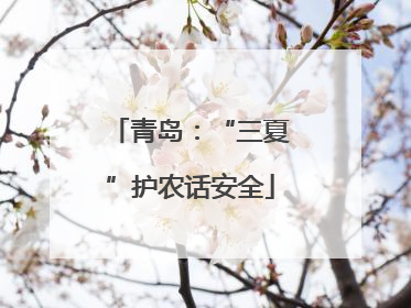 青岛：“三夏”护农话安全