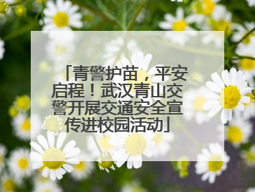 青警护苗，平安启程！武汉青山交警开展交通安全宣传进校园活动