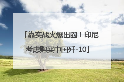 靠实战火爆出圈！印尼考虑购买中国歼-10