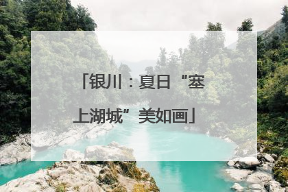 银川：夏日“塞上湖城”美如画