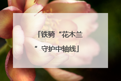 铁骑“花木兰”守护中轴线