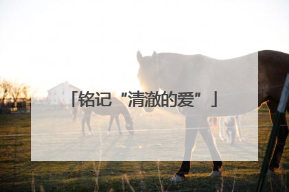 铭记“清澈的爱”