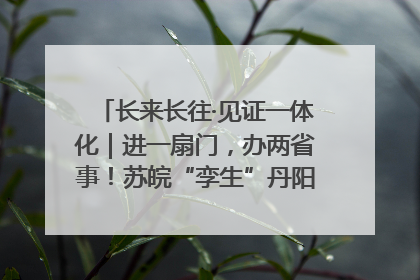 长来长往·见证一体化｜进一扇门，办两省事！苏皖“孪生”丹阳如何做到的？