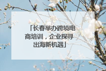 长春举办跨境电商培训，企业探寻出海新机遇
