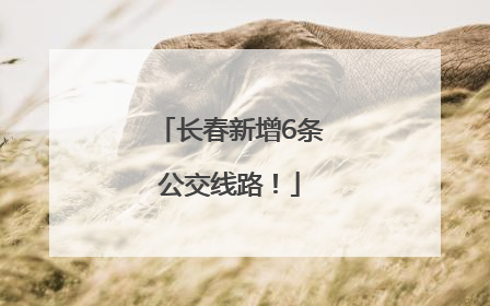 长春新增6条公交线路！