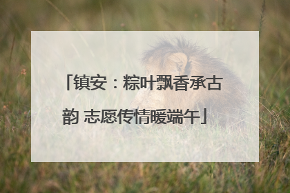 镇安：粽叶飘香承古韵 志愿传情暖端午