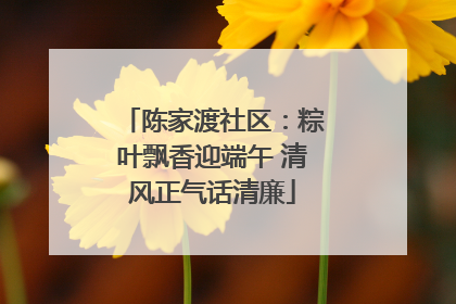 陈家渡社区：粽叶飘香迎端午 清风正气话清廉