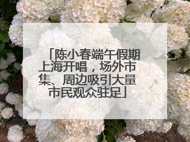 陈小春端午假期上海开唱，场外市集、周边吸引大量市民观众驻足