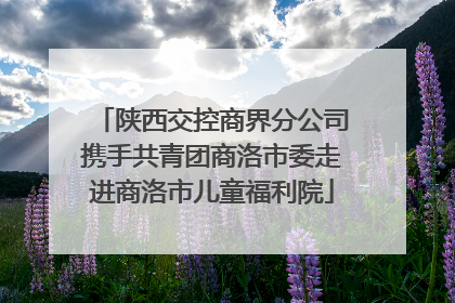 陕西交控商界分公司携手共青团商洛市委走进商洛市儿童福利院