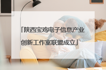 陕西宝鸡电子信息产业创新工作室联盟成立