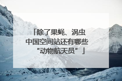除了果蝇、涡虫 中国空间站还有哪些“动物航天员”