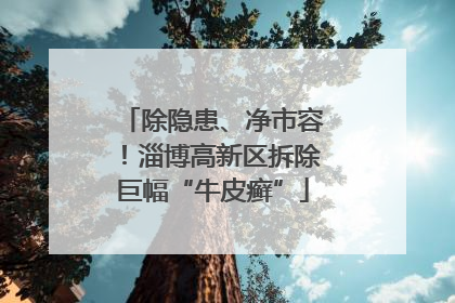 除隐患、净市容！淄博高新区拆除巨幅“牛皮癣”