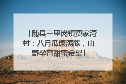 随县三里岗镇贾家湾村：八月瓜缀满藤，山野孕育甜蜜希望
