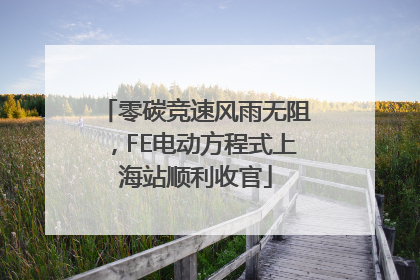 零碳竞速风雨无阻，FE电动方程式上海站顺利收官